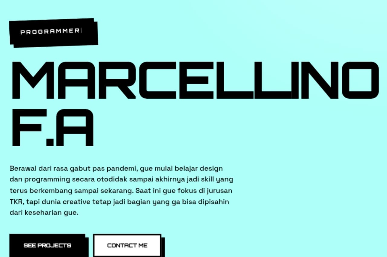 First Portfolio